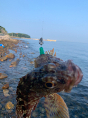 フロート・ガシリングと、ベリング