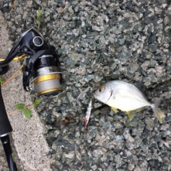 真夏の吹上浜はアツイ