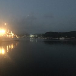 サバのなめろうが食べたくて！