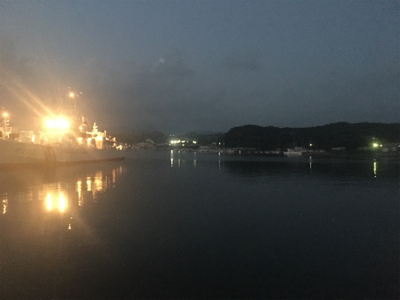 サバのなめろうが食べたくて！