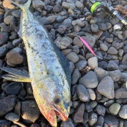 夏の終わりも近い