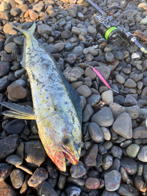 夏の終わりも近い