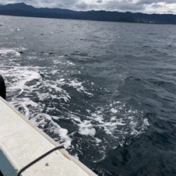 約1か月ぶりの釣行‼️