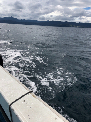 約1か月ぶりの釣行‼️