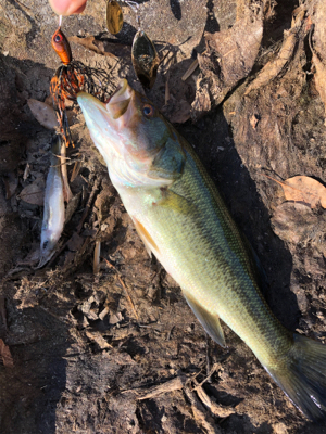 食いっ気がハンパない!