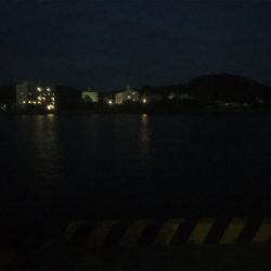 小さいイワシがいい餌になってくれました!