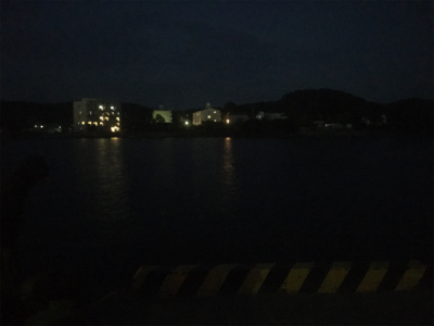 小さいイワシがいい餌になってくれました!