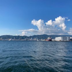 アジ・サバ祭り