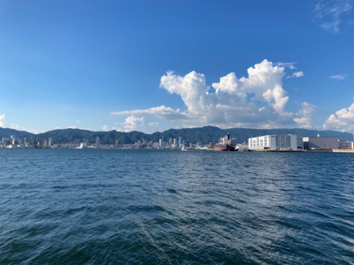 アジ・サバ祭り