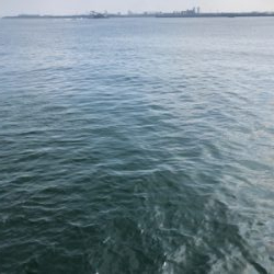 毎投当たりあり!沖の北 カワハギ爆釣果