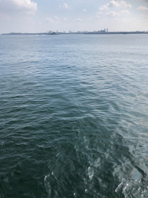 毎投当たりあり!沖の北 カワハギ爆釣果