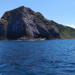 ベイトたくさん