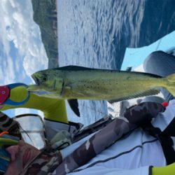 マイボートでアマダイ狙い。8目釣り達成!レンコダイとエソは高活性!
