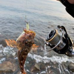 フロート　ガシリング&ベリング