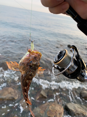 フロート　ガシリング&ベリング