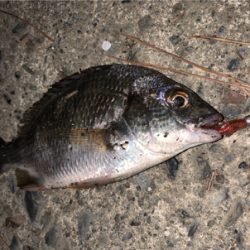 マイクロチニング