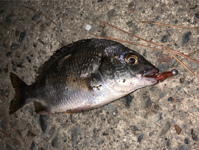 マイクロチニング