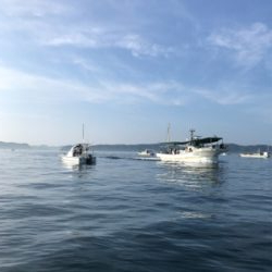 テンヤとジギング