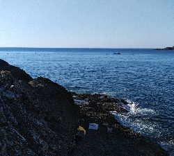 久しぶりの磯釣り(^_^)