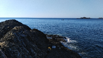 久しぶりの磯釣り(^_^)