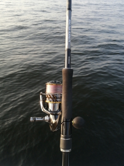 サバとえんぴつサヨリ