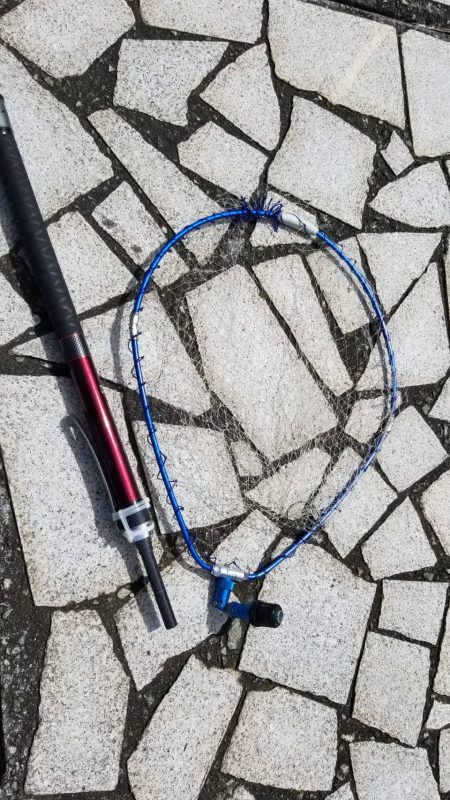 ボラリストになった。 狙えばビッグファイトです。