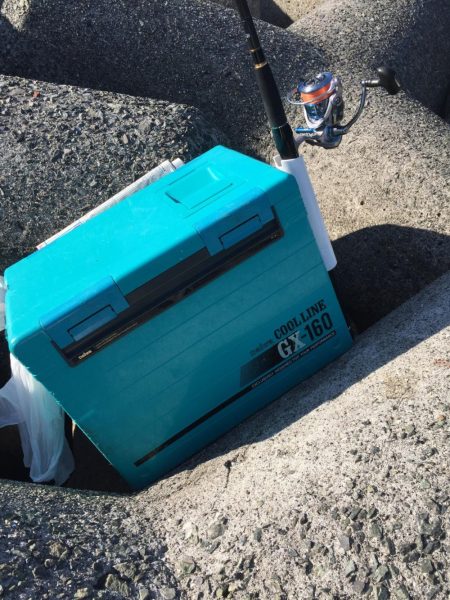 ハマチ! タチウオ!