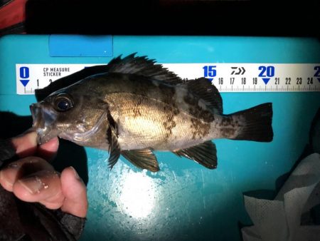 教訓 いつもタモは手元に