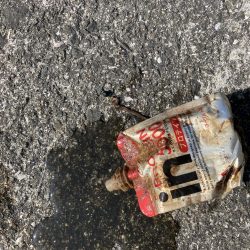 東二見人工島前打ちコブダイ