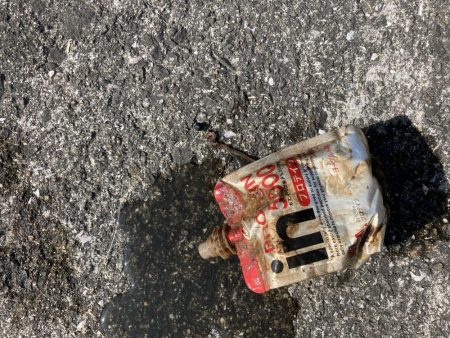 東二見人工島前打ちコブダイ