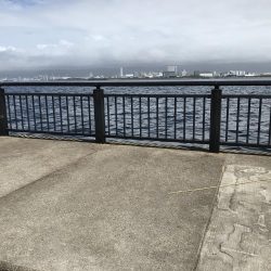 8月11日神戸空港青物