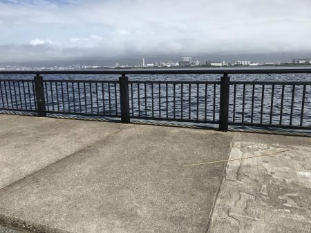 8月11日神戸空港青物