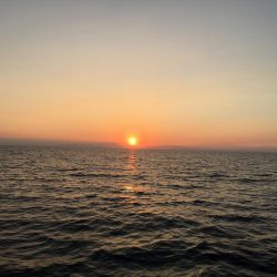 ギガムツ祭り❗️