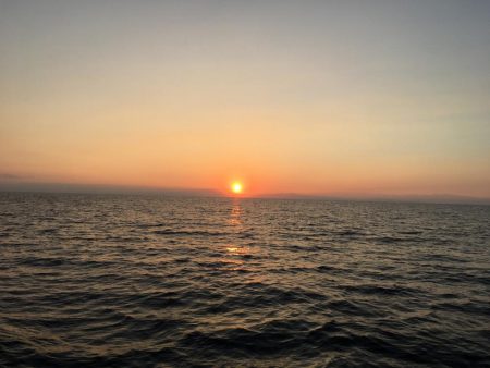 ギガムツ祭り❗️