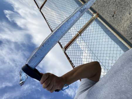 ツバス　太刀魚