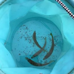 久しぶりの無風