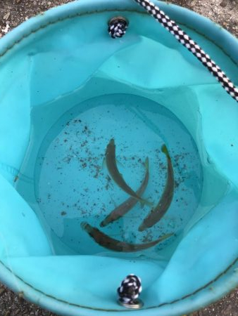 久しぶりの無風