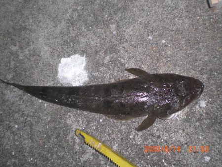 お盆墓参り+釣り