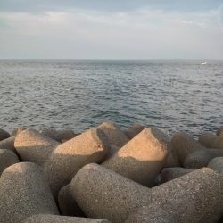 ツバスのボイル