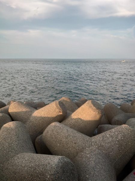 ツバスのボイル