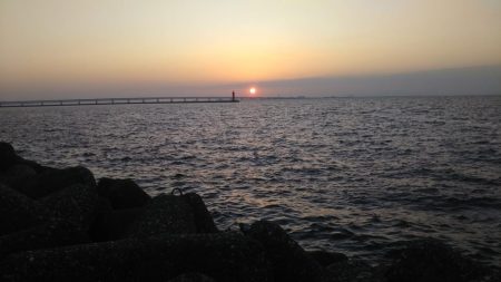 ちびイカの奥にはトンカツサイズ