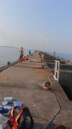 オクトパッション