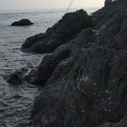 ロックフィッシュ