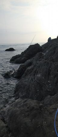 ロックフィッシュ