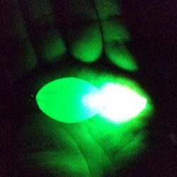 自作フロートでなんちゃって電気ウキ仕掛け