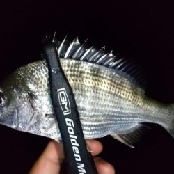 フロートアジング