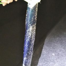 キスのちタチウオ