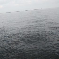 メクリアジ　リベンジ