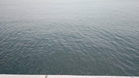 シロギスに出会えたが……