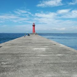 播磨新島でキス釣り